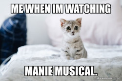 Cute Kitten