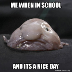 Blobfish