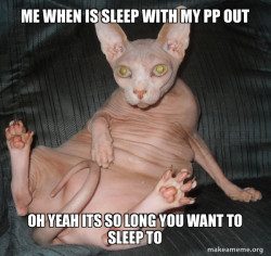 Hairless Cat