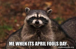 Evil Plotting Raccoon