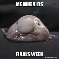 Blobfish