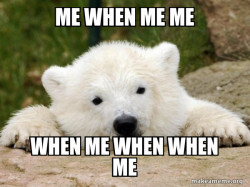 Popular Opinion Bear