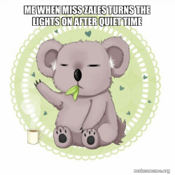 Aussie Koala doing the night shift