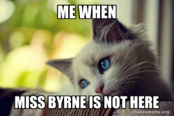 First World Cat Problems