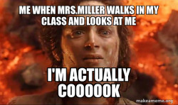 Frodo it's over it's done