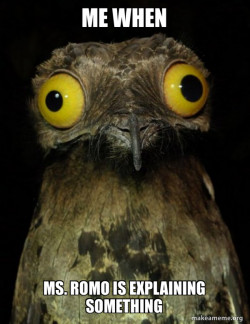 Weird Stuff I do Potoo