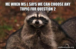 Evil Plotting Raccoon