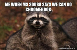 Evil Plotting Raccoon