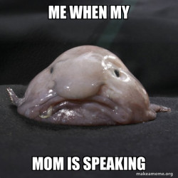 Blobfish