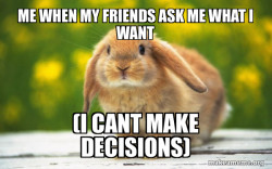 Regretful Rabbit