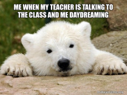 Popular Opinion Bear