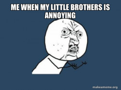 Y U No
