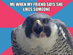 Millennial Falcon