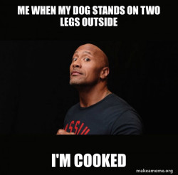 Dwayne Johnson (The Rock)