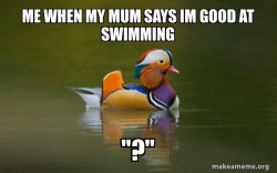 Fashionable Advice Mallard