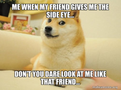 Doge