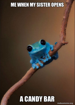 Small Fact Frog