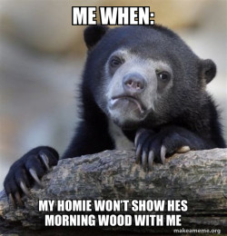 Confession Bear