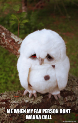 Sad Owl