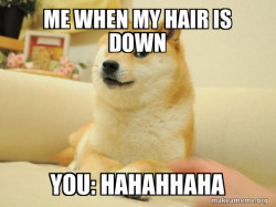 Doge