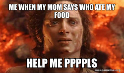 Frodo it's over it's done