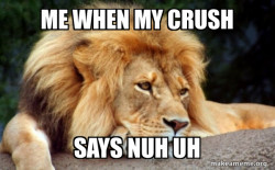 Confession Lion