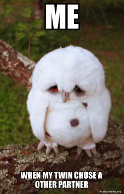 Sad Owl