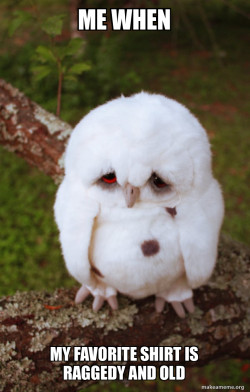 Sad Owl