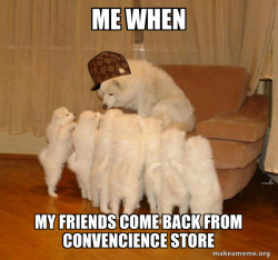 Scumbag Storytelling Dog