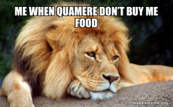 Confession Lion