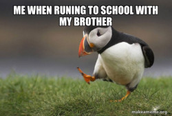 Unpopular Opinion Puffin