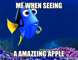 Dory from Nemo  (5 second memory)