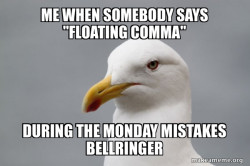 Seagull Meme