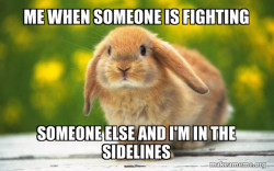 Regretful Rabbit