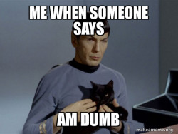 Spock and Cat Meme