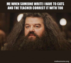 Hagrid - I should not have said that
