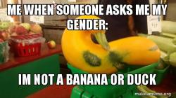 Gourd Advice Mallard