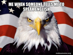 American Pride Eagle
