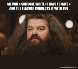 Hagrid - I should not have said that