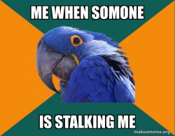 Paranoid Parrot