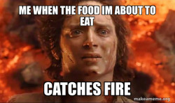 Frodo it's over it's done