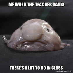 Blobfish
