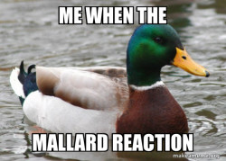 Actual Advice Mallard