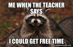 Evil Plotting Raccoon