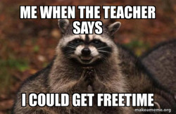 Evil Plotting Raccoon