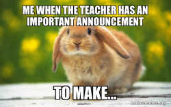 Regretful Rabbit