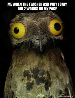 Weird Stuff I do Potoo