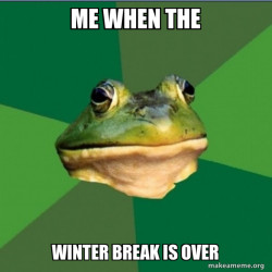 Foul Bachelor Frog
