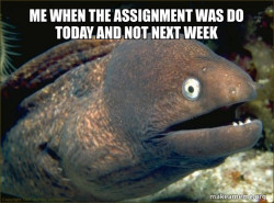 Bad Joke Eel