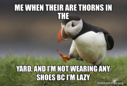 Unpopular Opinion Puffin